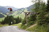 Mountainbiken auf Downhillstrecken und in Bikeparks